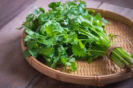 Coriander Leaves